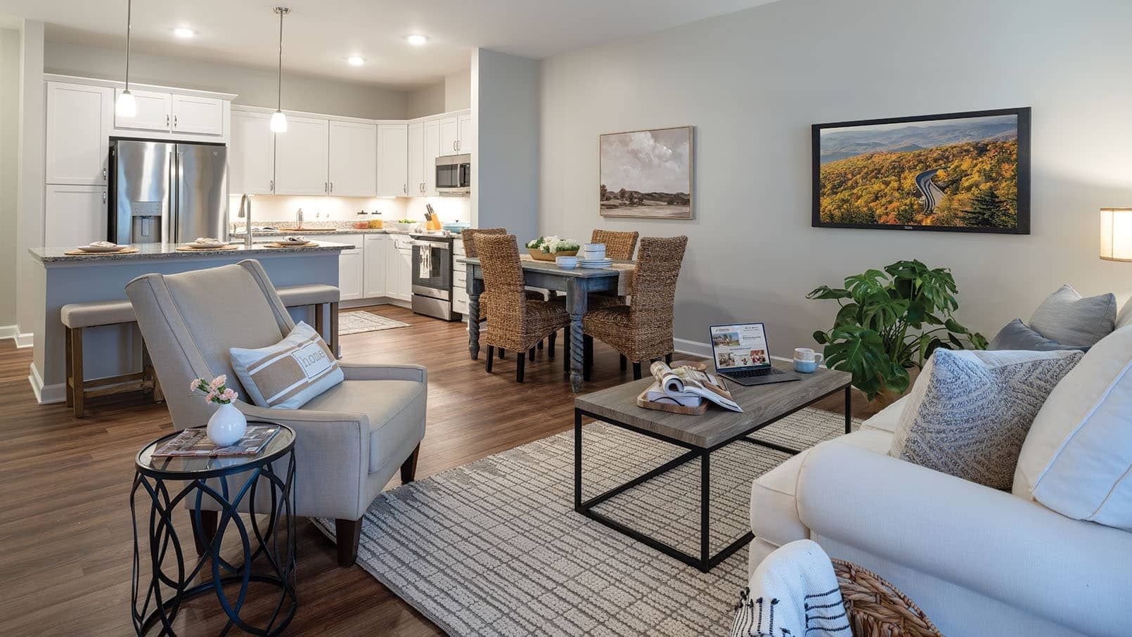 Cary Kitchen and Living Area